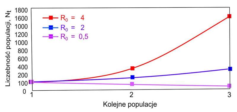 A curve comparing linear and exponential growth, the shape of compounding over time