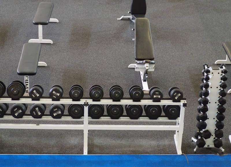 Dumbbells and free weights racked in a gym