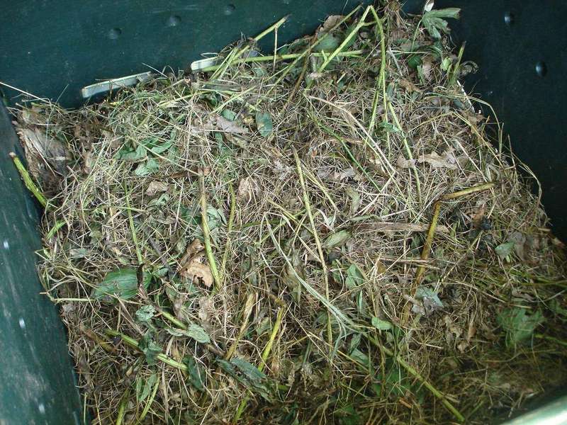 A finished compost pile, the single most effective amendment for heavy clay soil.