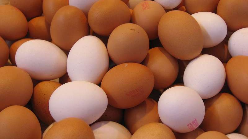 A close-up of eggs, a complete protein source