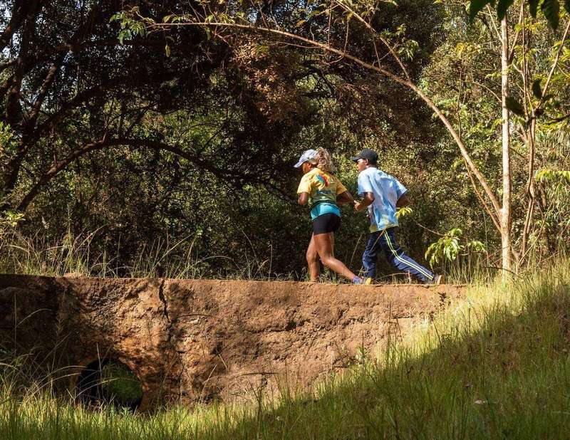 Runners crossing a bridge on a forest trail