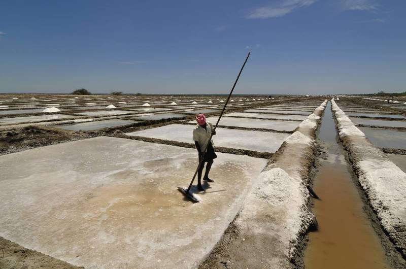 Salt evaporation pans where seawater is concentrated by the sun