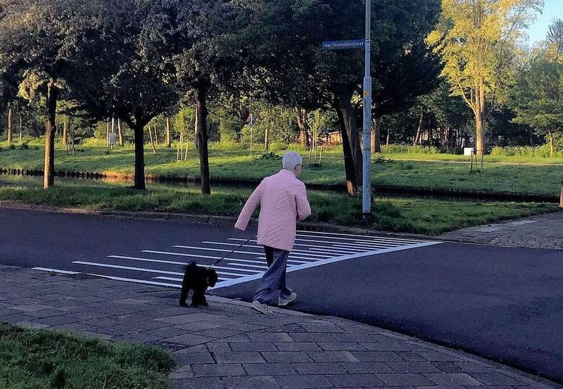 A woman walking a dog on a leash