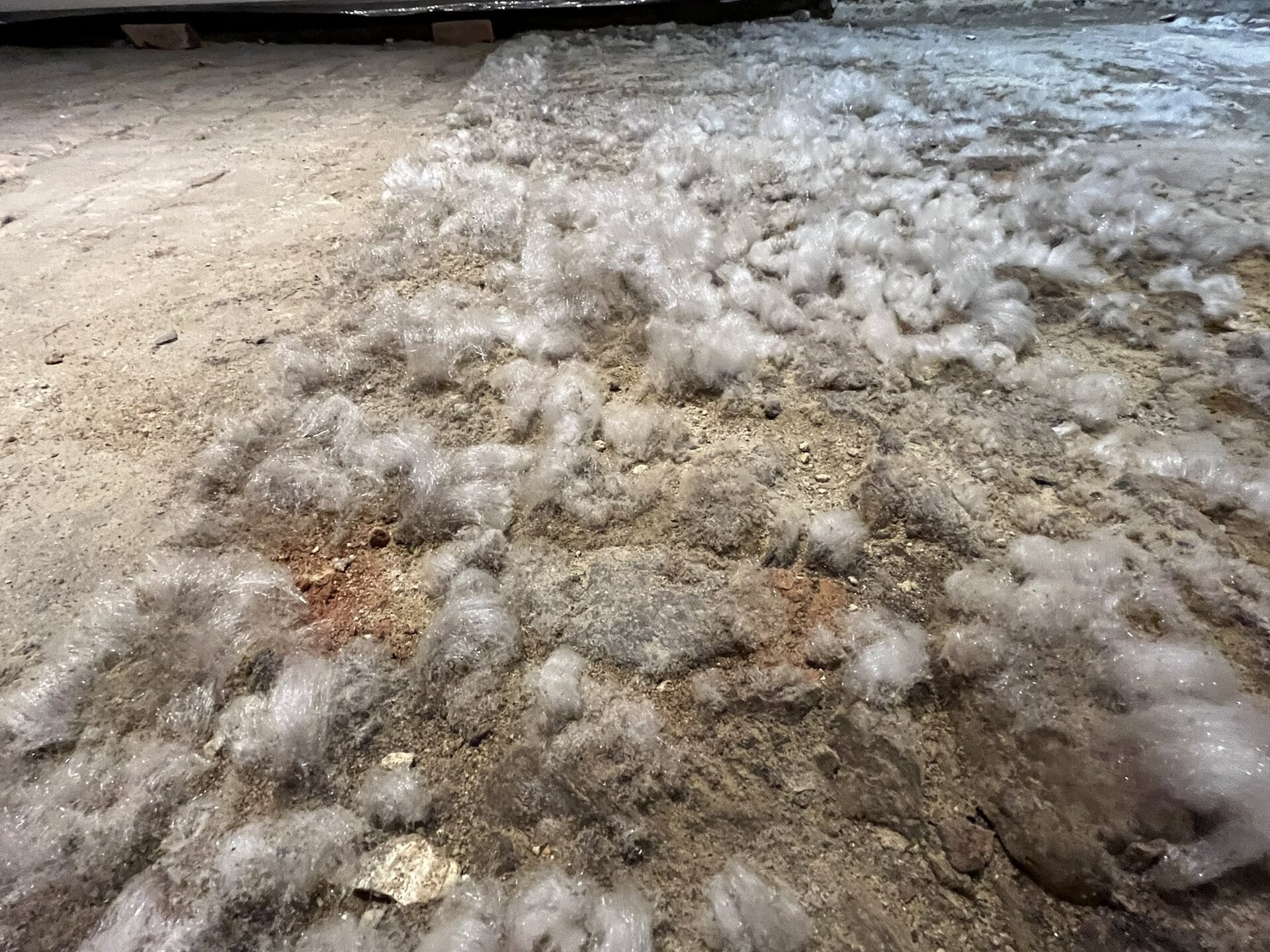 Efflorescence deposits on old cellar floor bricks