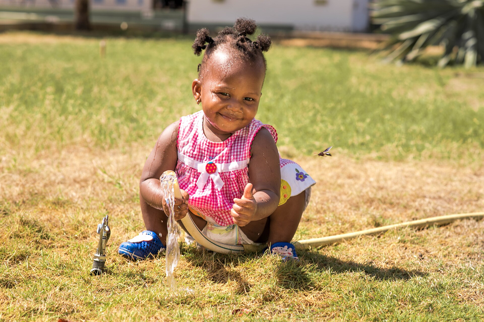 A toddler girl playing with water from a garden hose outdoors
