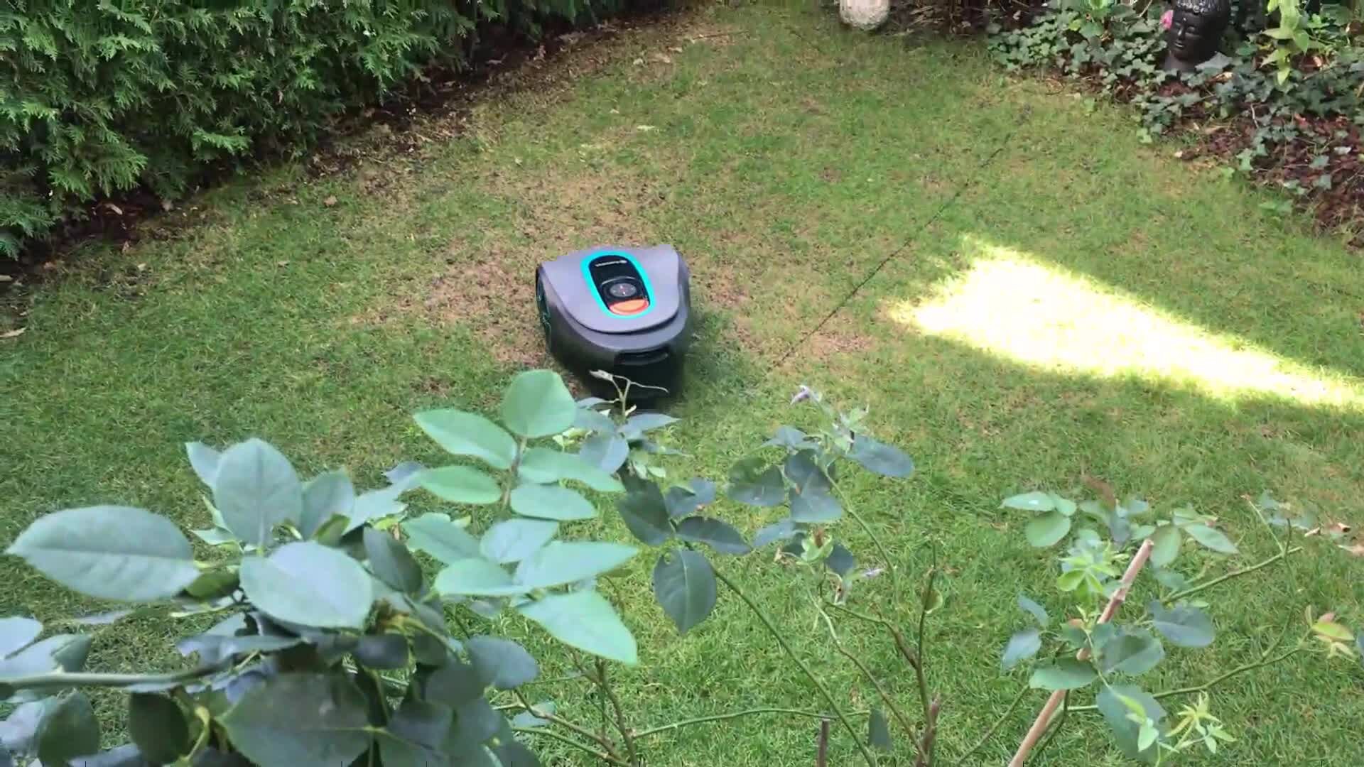 A robotic lawn mower working on grass
