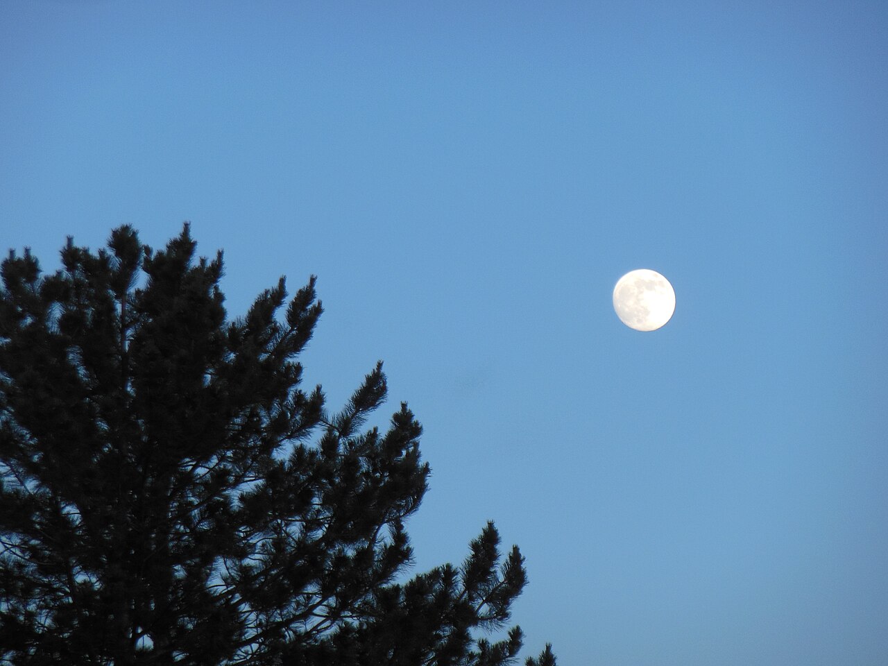 A daytime Moon photographed against a clear blue sky