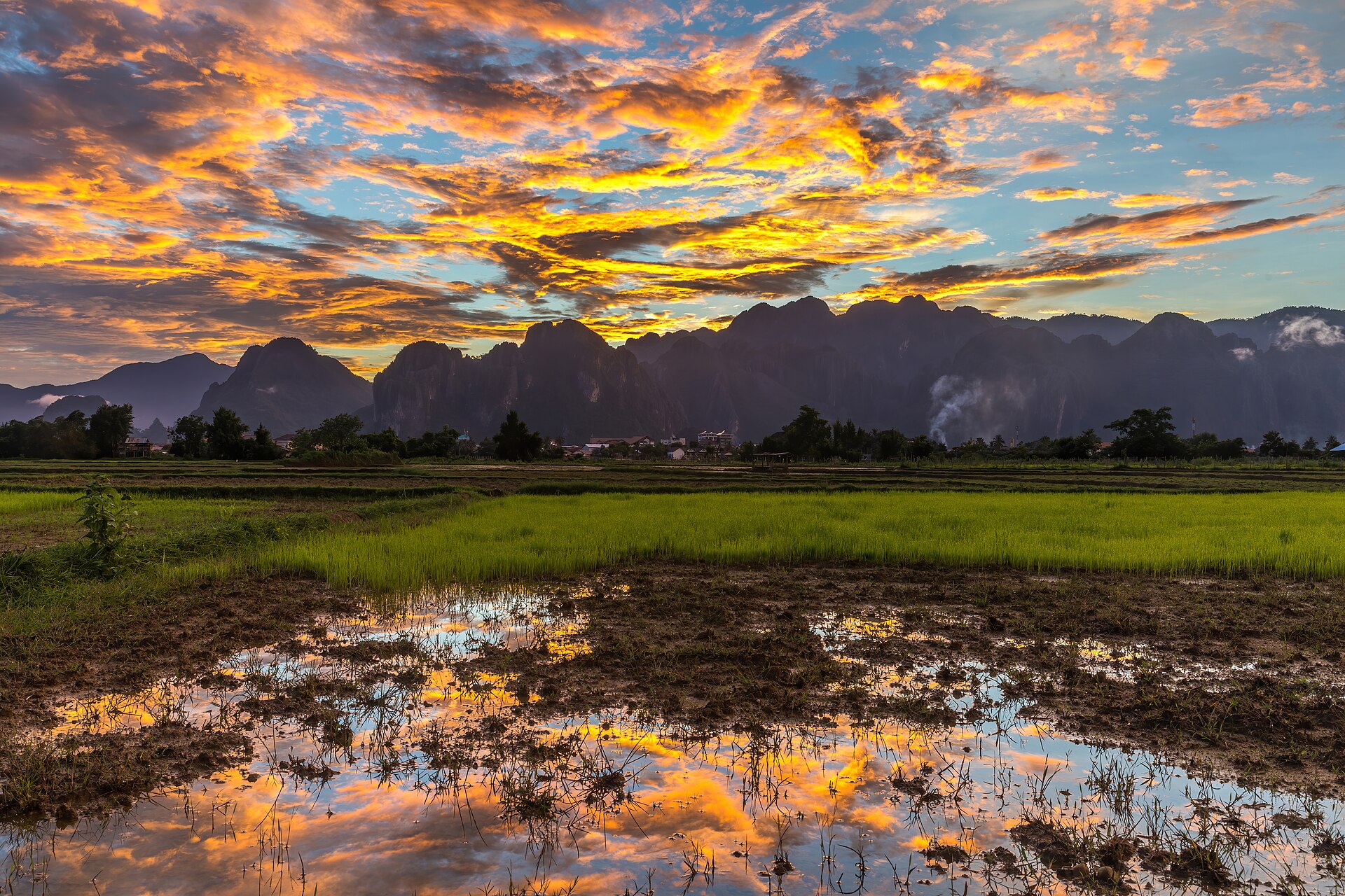 Orange clouds reflected in the water of a paddy field at sunset