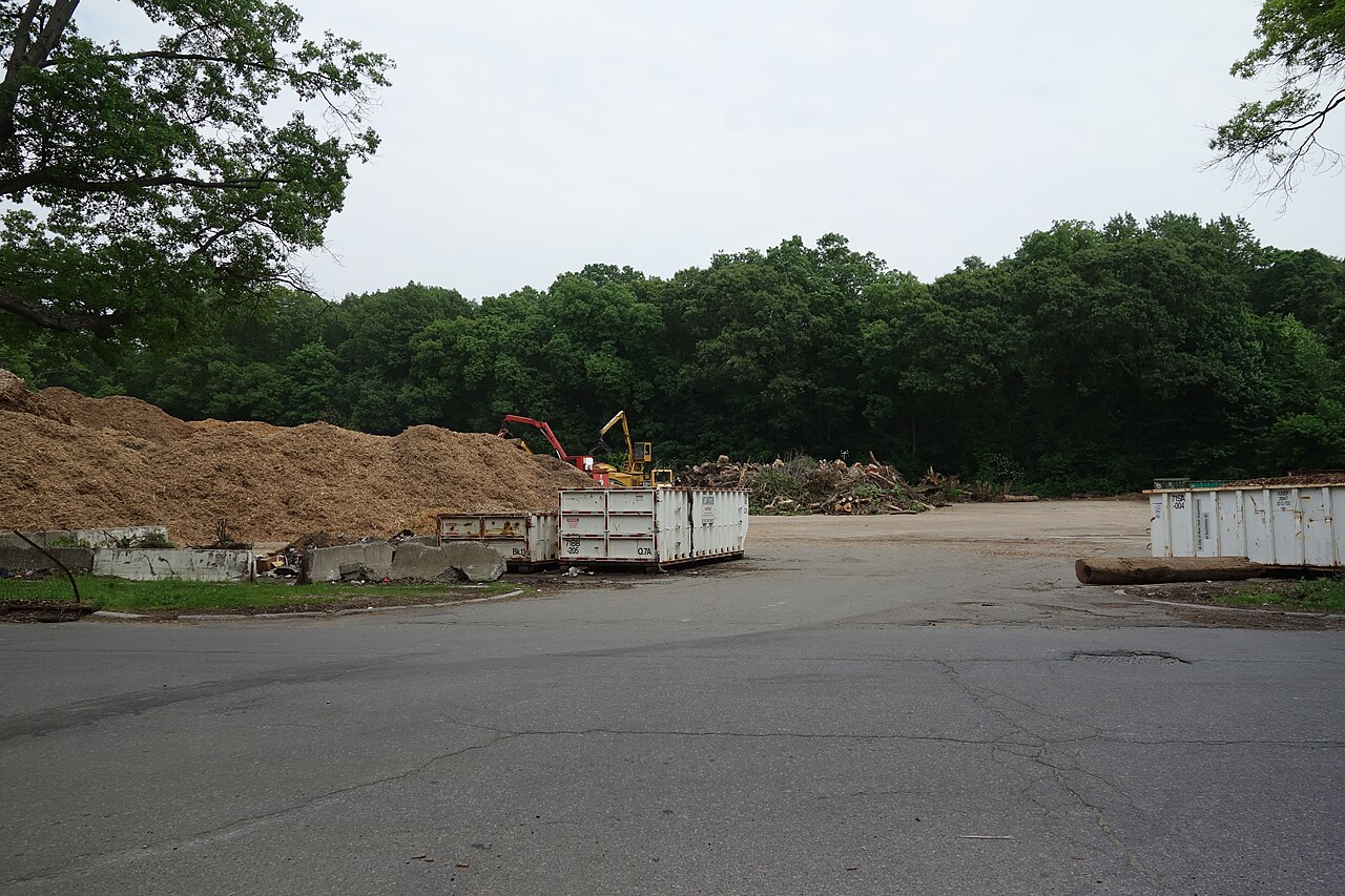 A yard covered with a thick layer of wood chip mulch