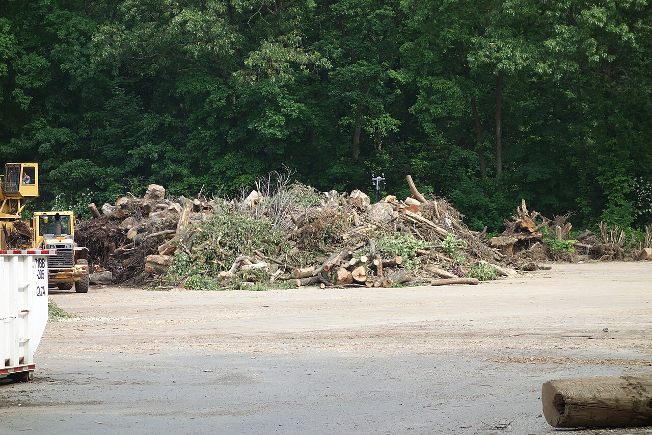 A municipal mulch yard with large piles of wood mulch
