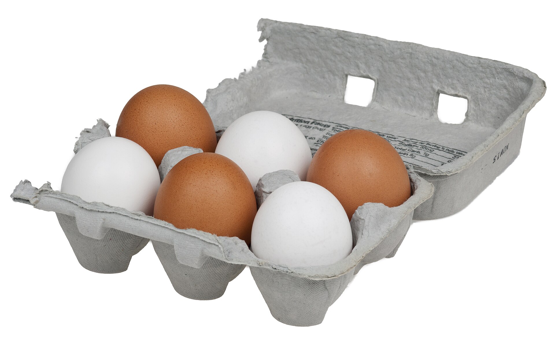 Six eggs in a cardboard egg carton