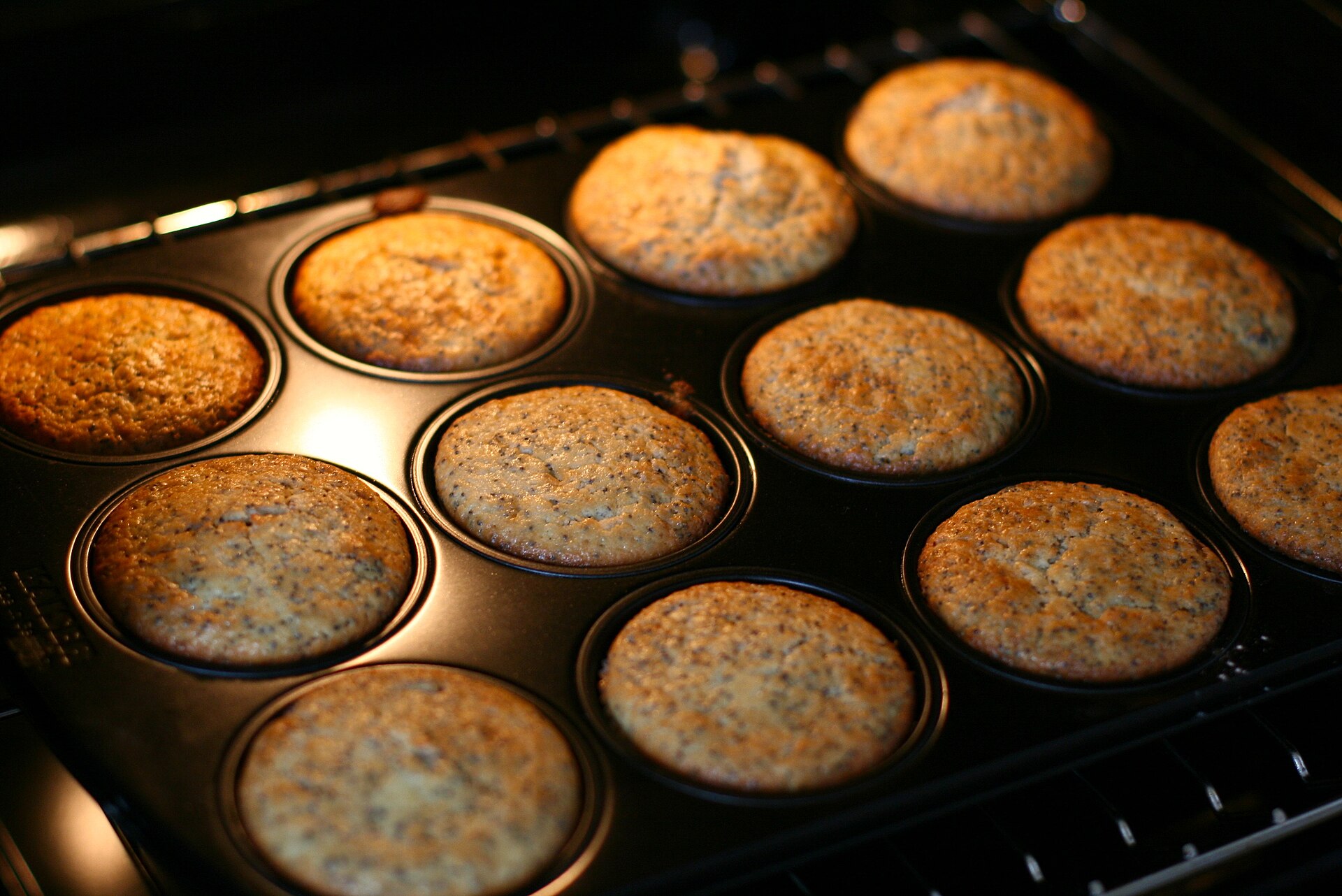 Fresh muffins in a baking tray
