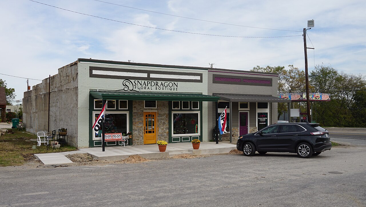 A dog wash and grooming business, where professionals handle the frequent-bath breeds
