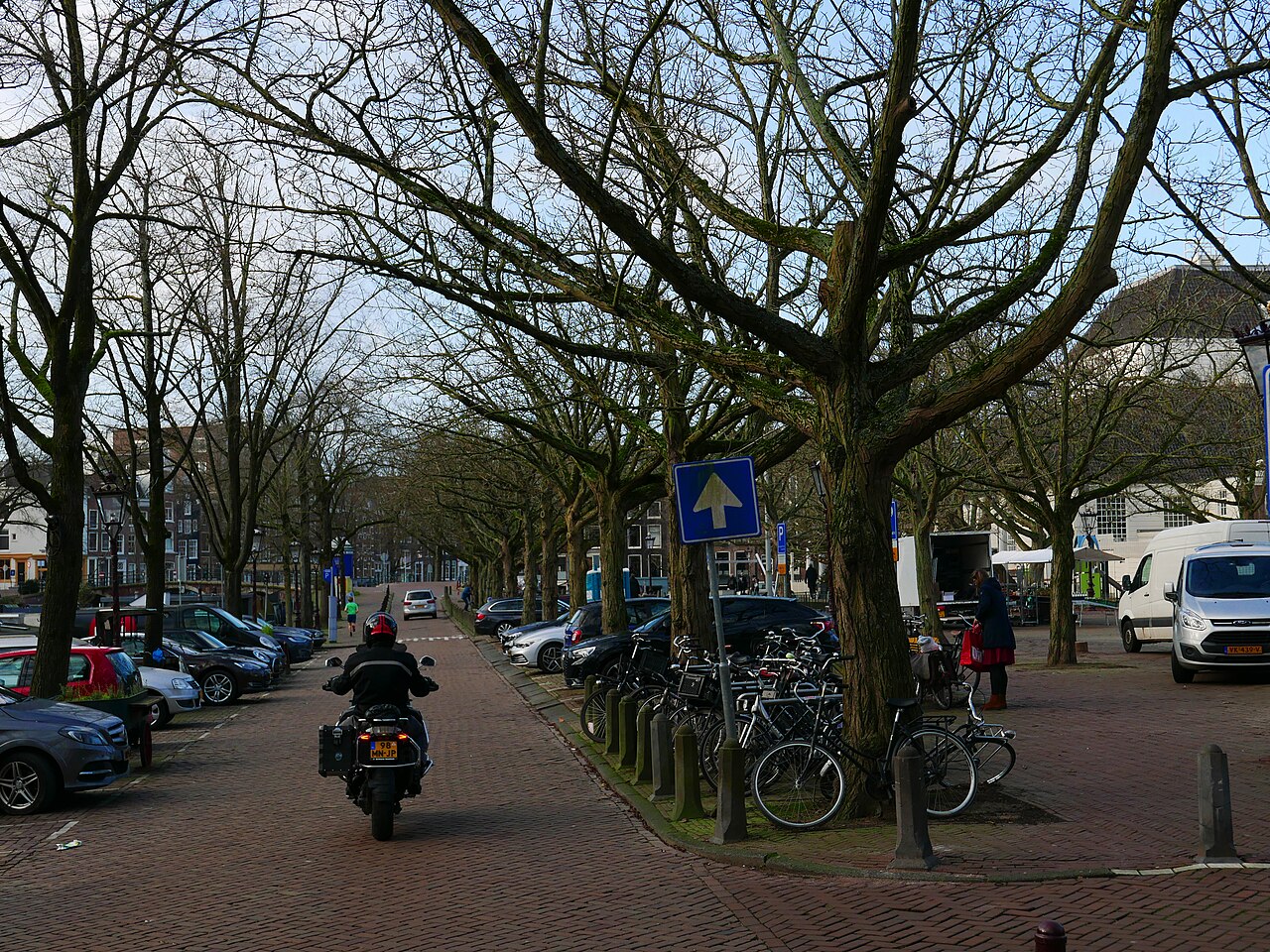 Bare tree branches against a winter sky in a city square