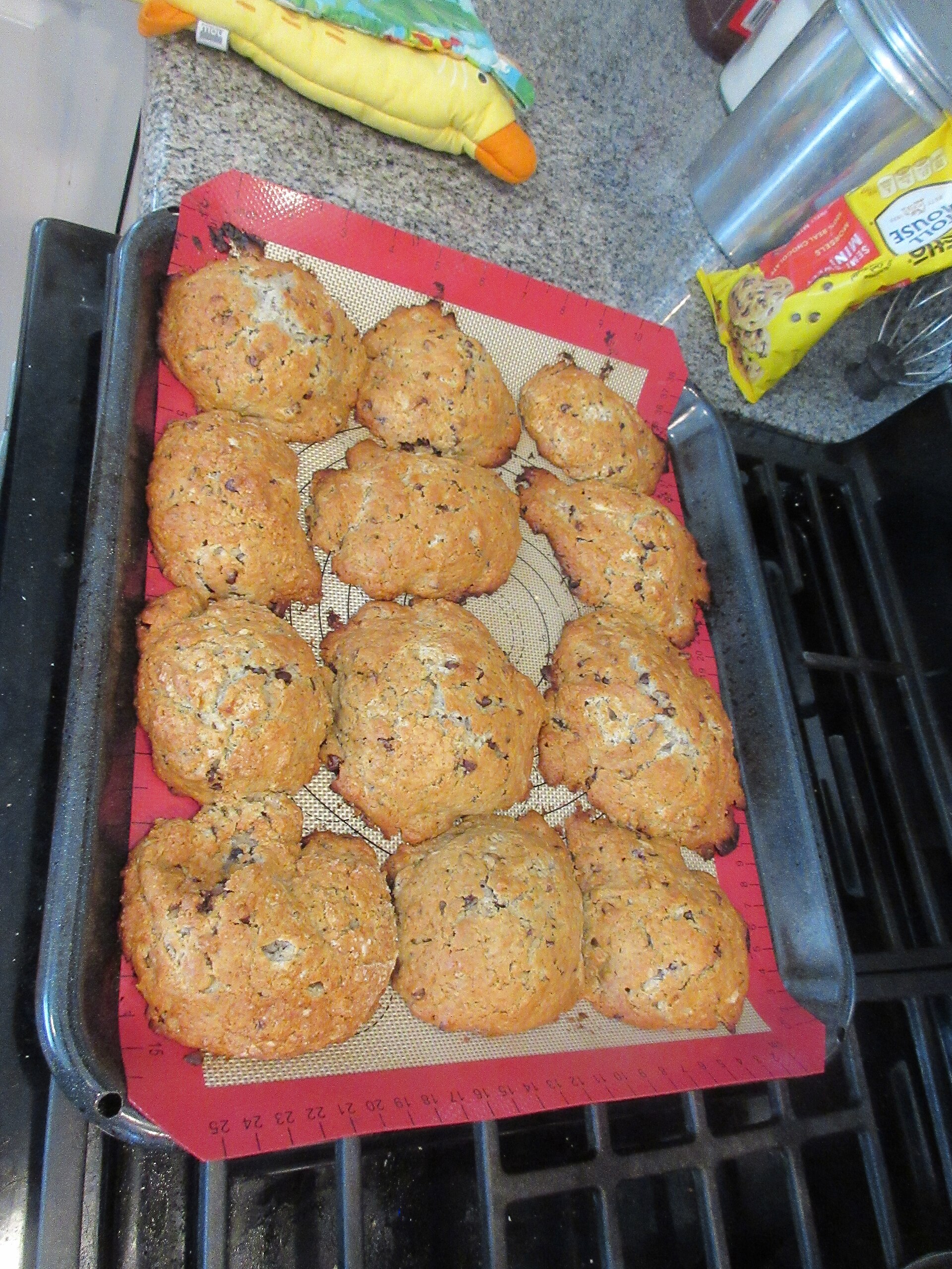 A tray of chocolate chip cookies on a baking sheet