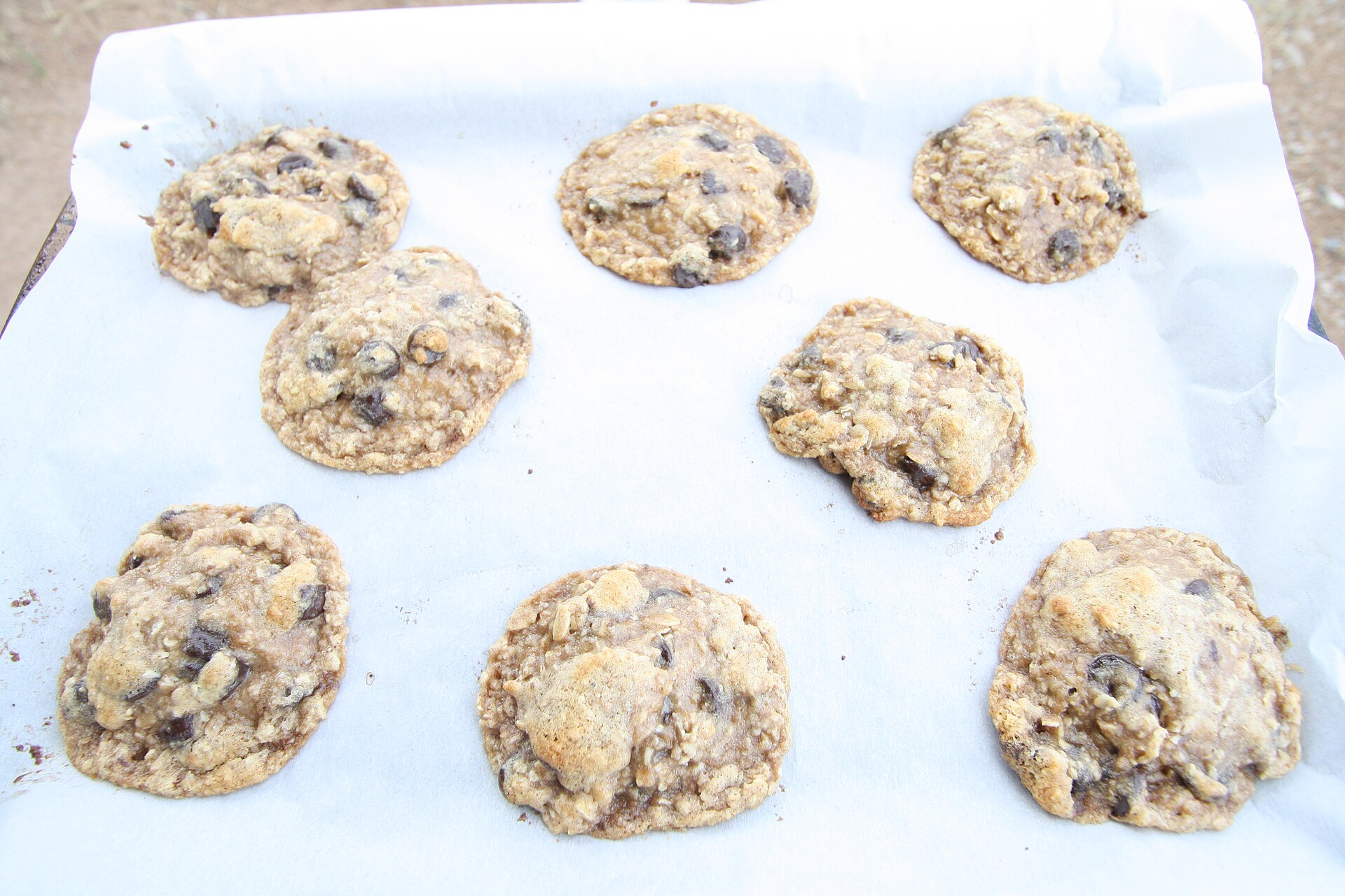 Baking oatmeal chocolate chip cookies in an oven