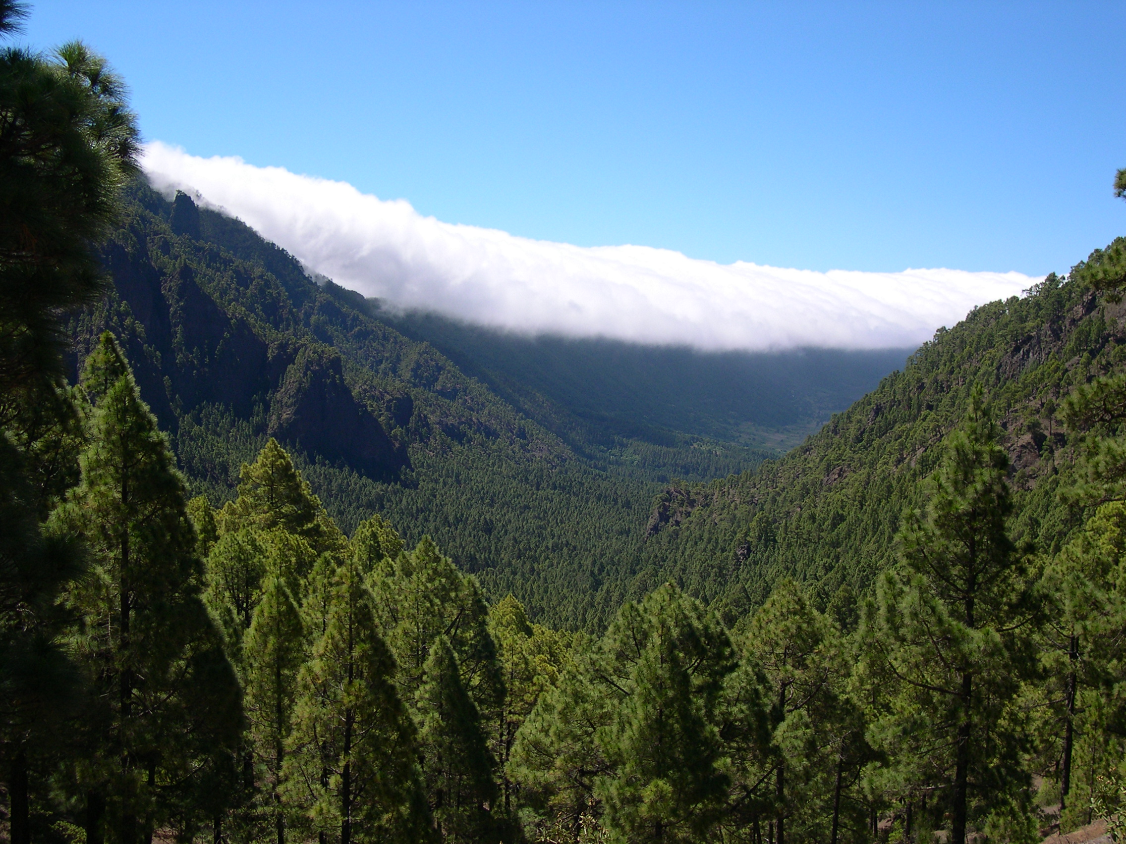 La Palma is known for its volcanic landscapes and stargazing