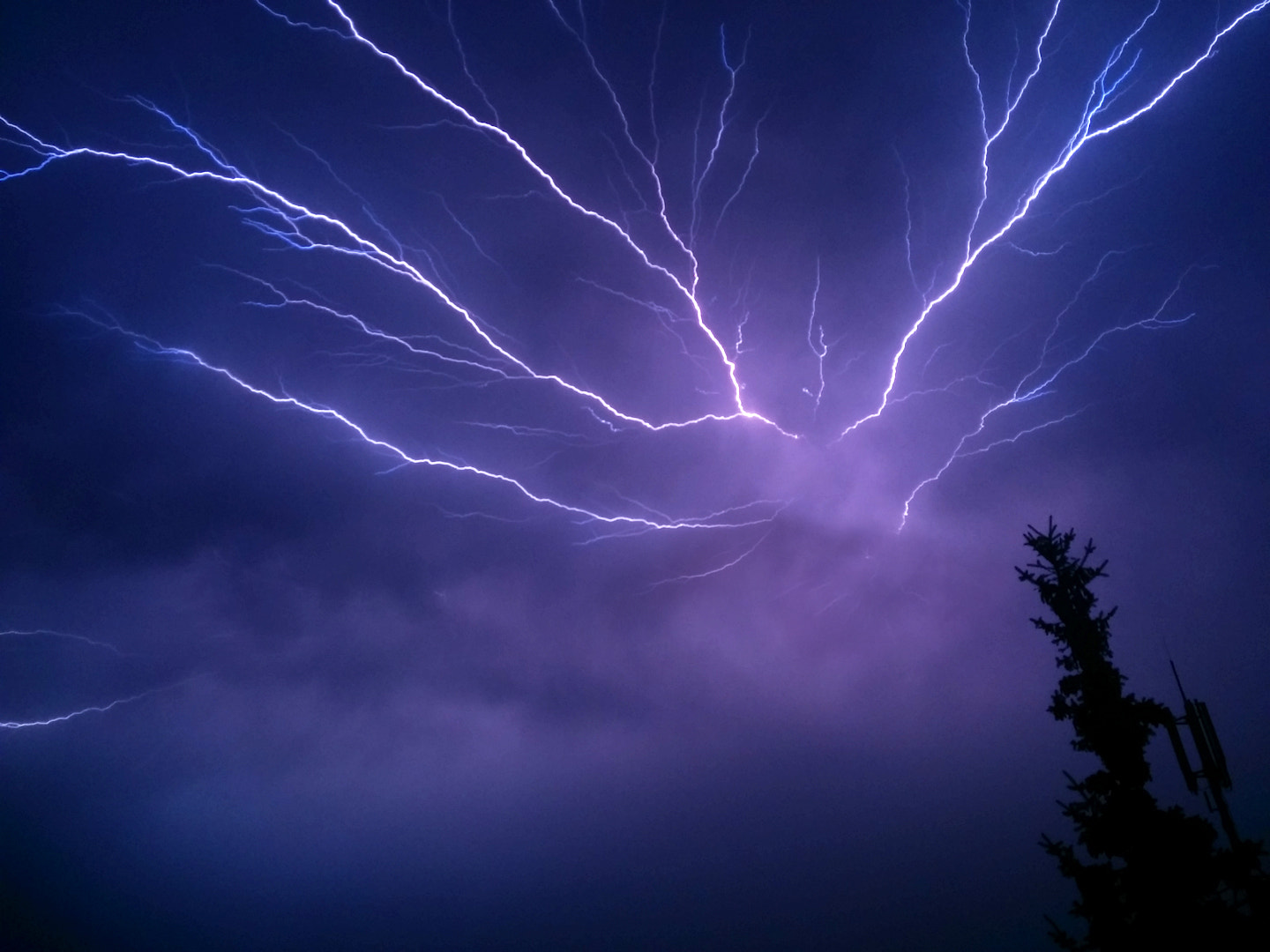 Lightning bolts spread across a night sky during a thunderstorm