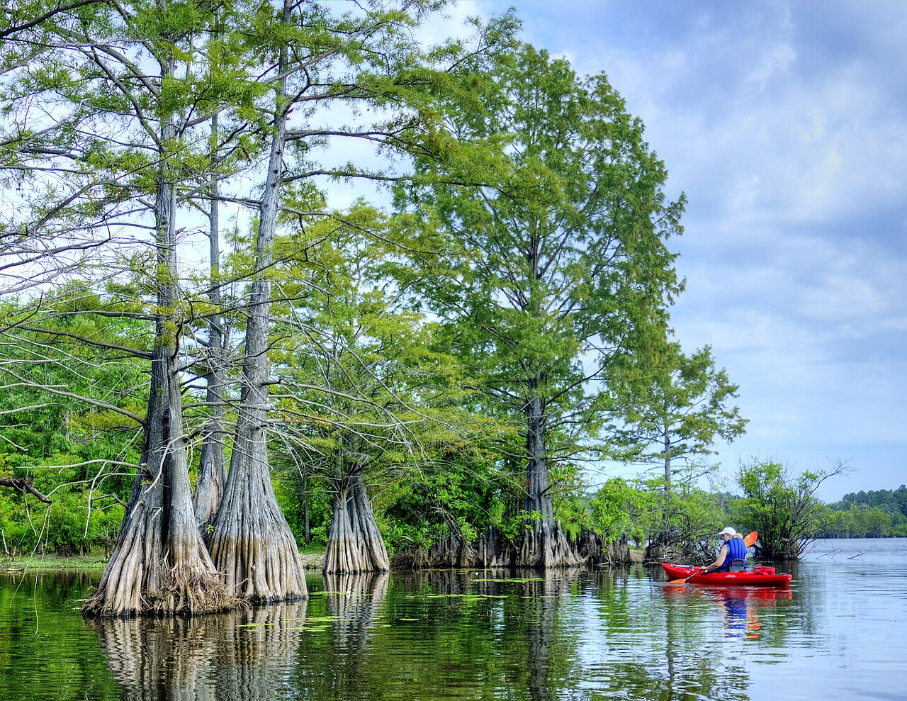 A kayaker launching from shore on a calm lake