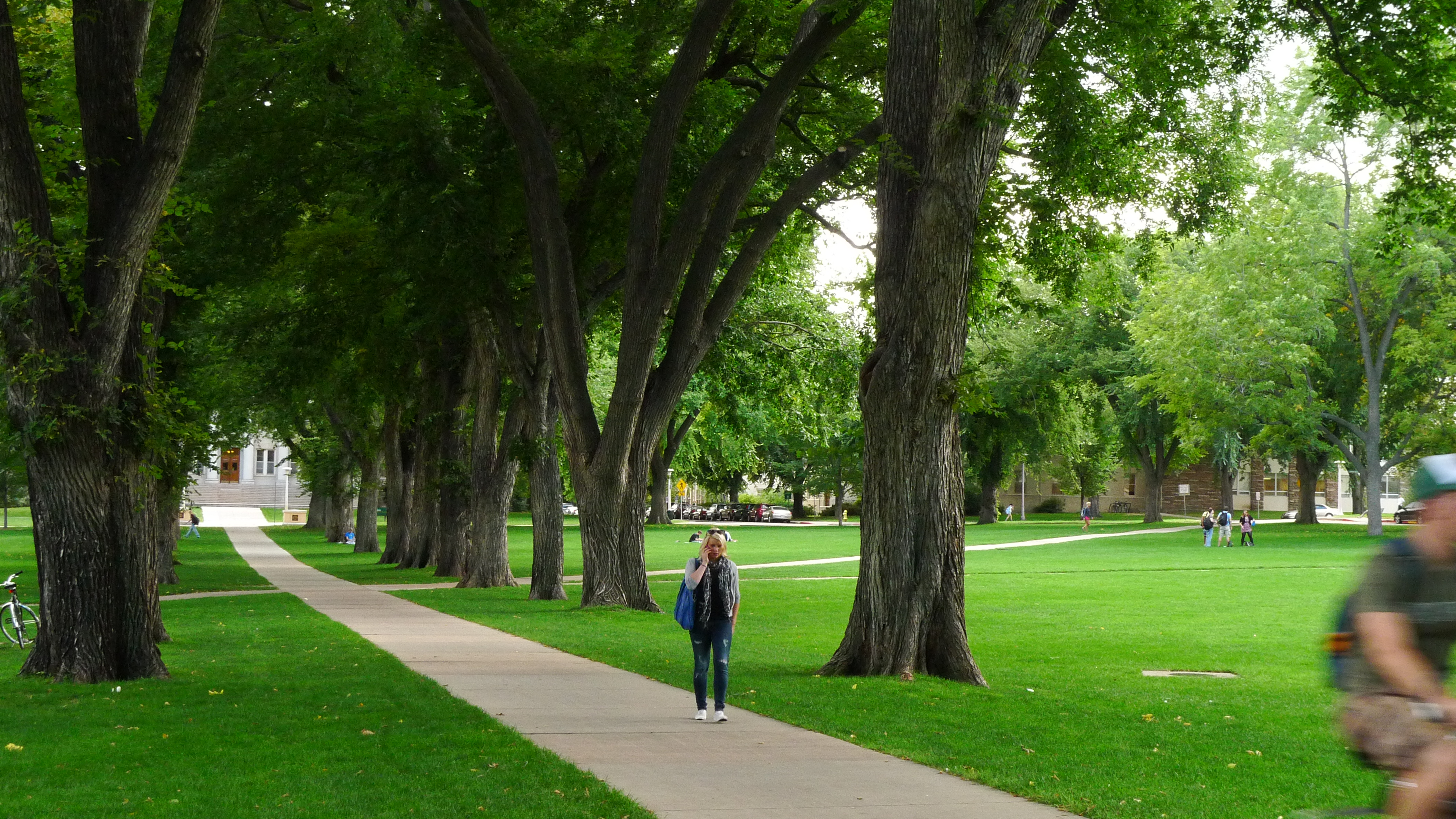 The Oval on the Colorado State University campus in Fort Collins