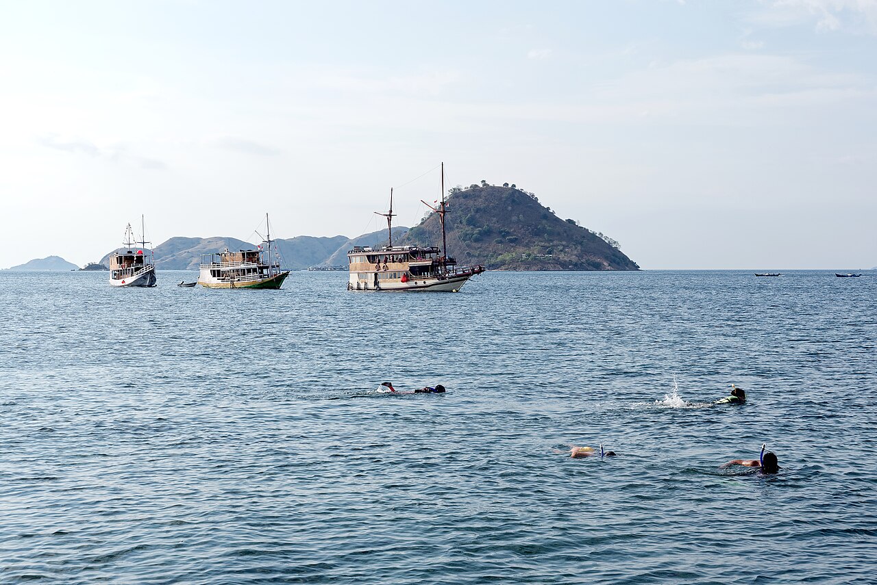 A snorkeler floating at the surface above a reef in clear tropical water