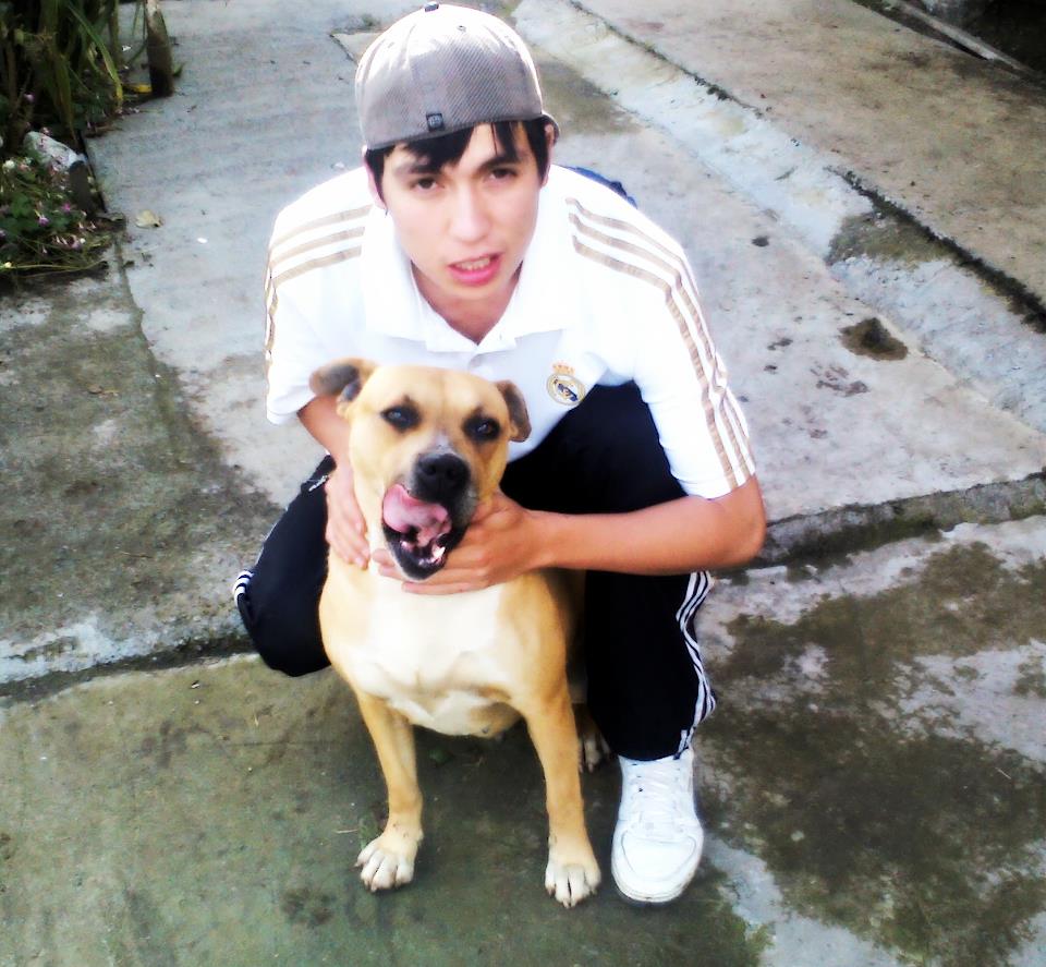 A dog sits with its owner, mid-lick, the classic face-licking greeting in action