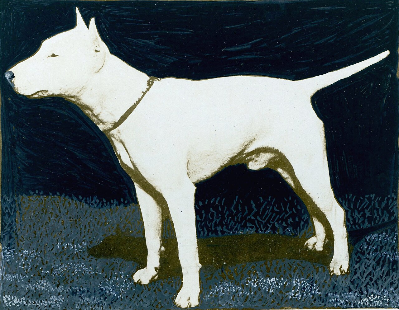 A portrait of a bull terrier