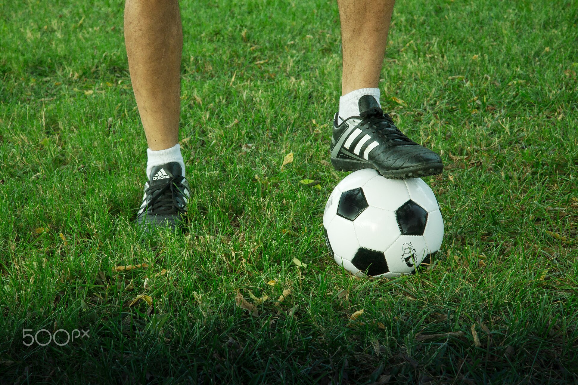 A soccer ball on a grass pitch