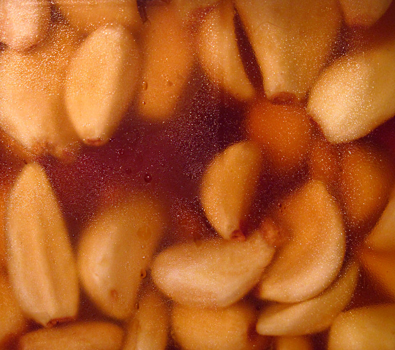 A glass jar of home-pickled garlic cloves with condensation