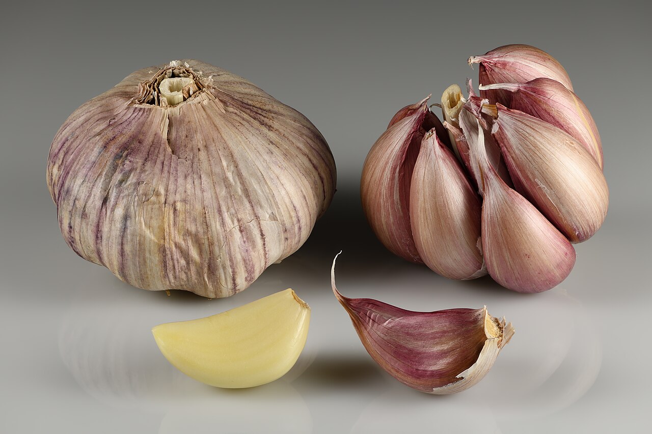 Fresh garlic bulbs and separated cloves