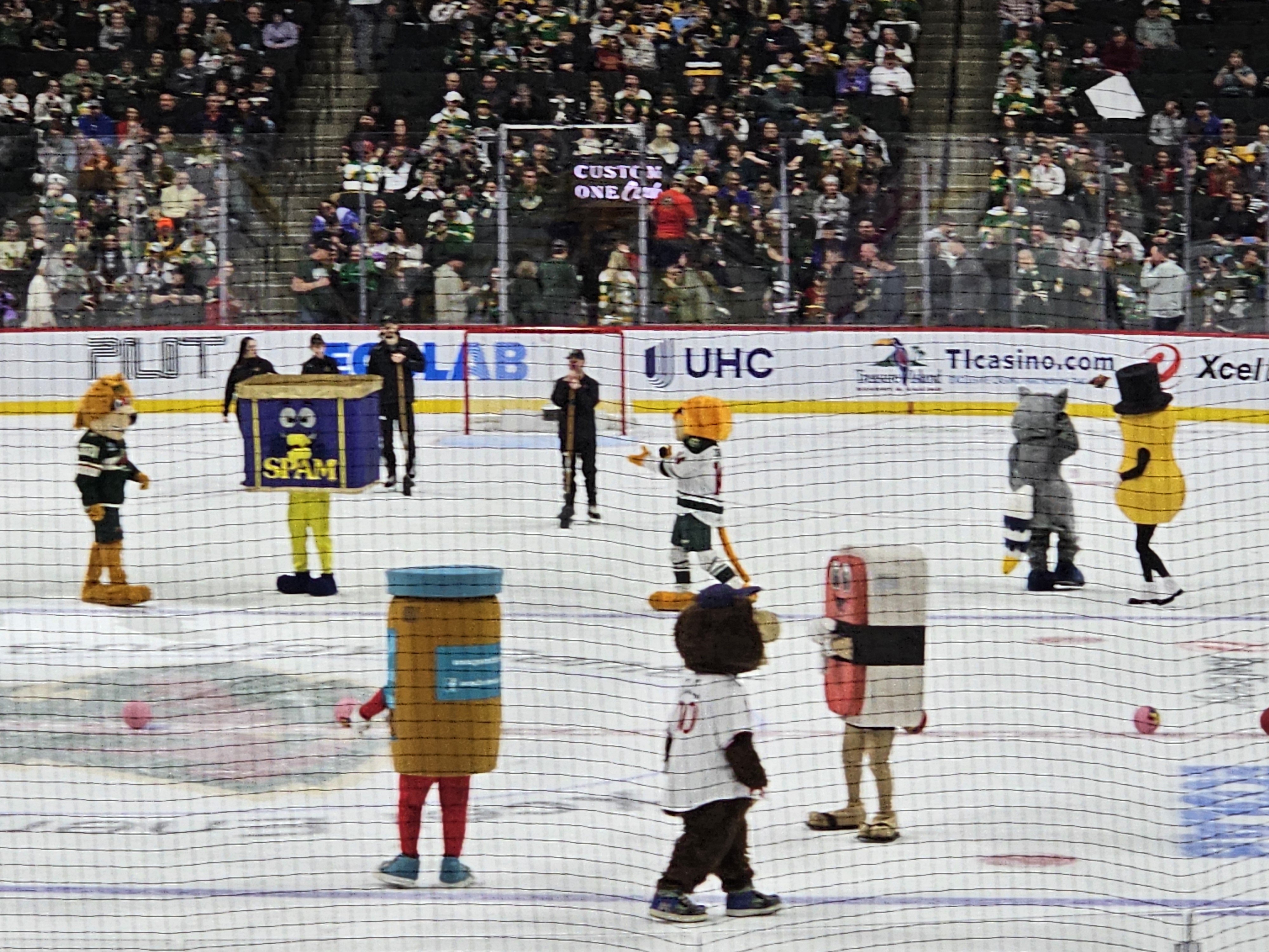 Mascots stand on the ice at a Minnesota Wild home game in St. Paul