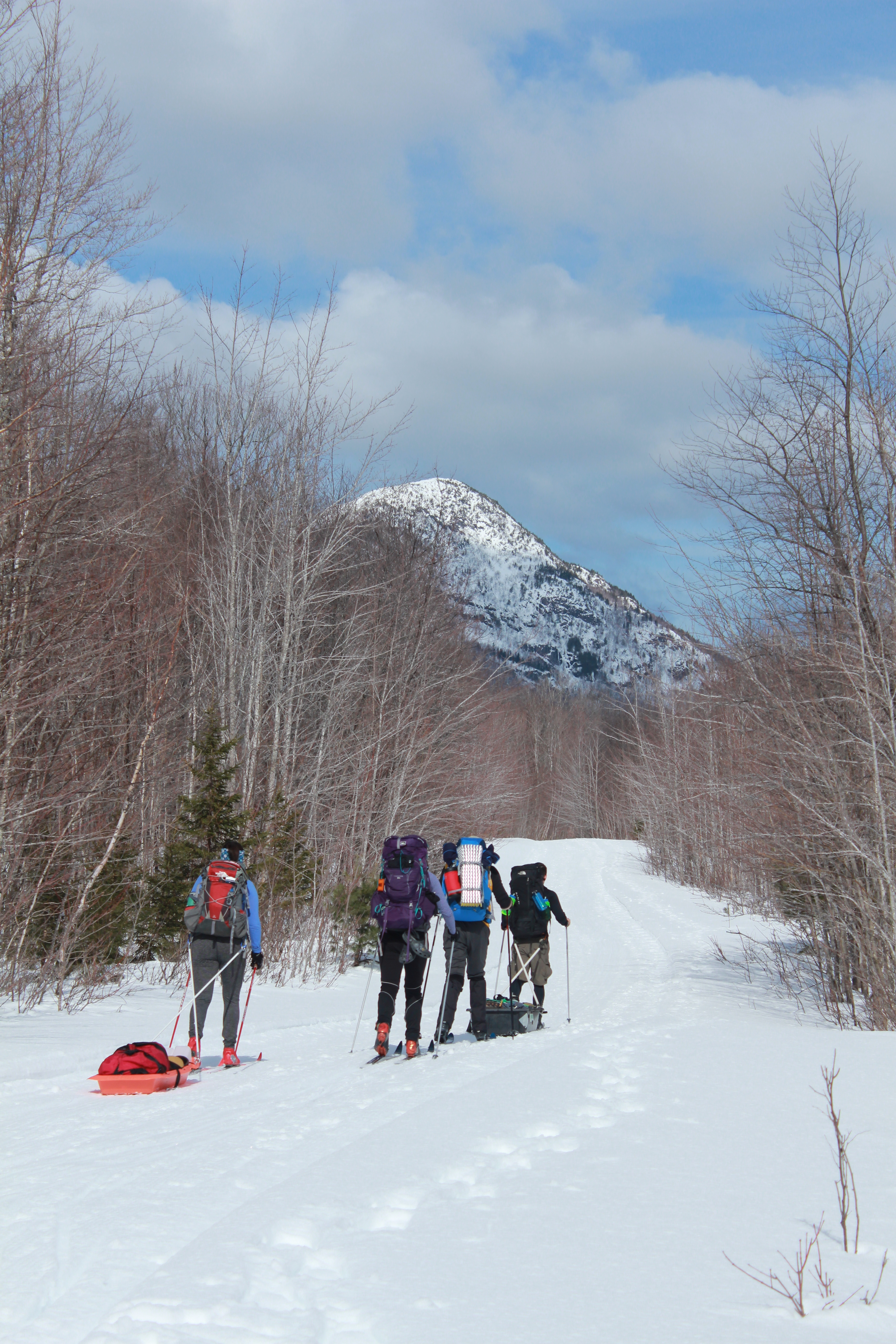 Cross-country skiers moving along a mountain path