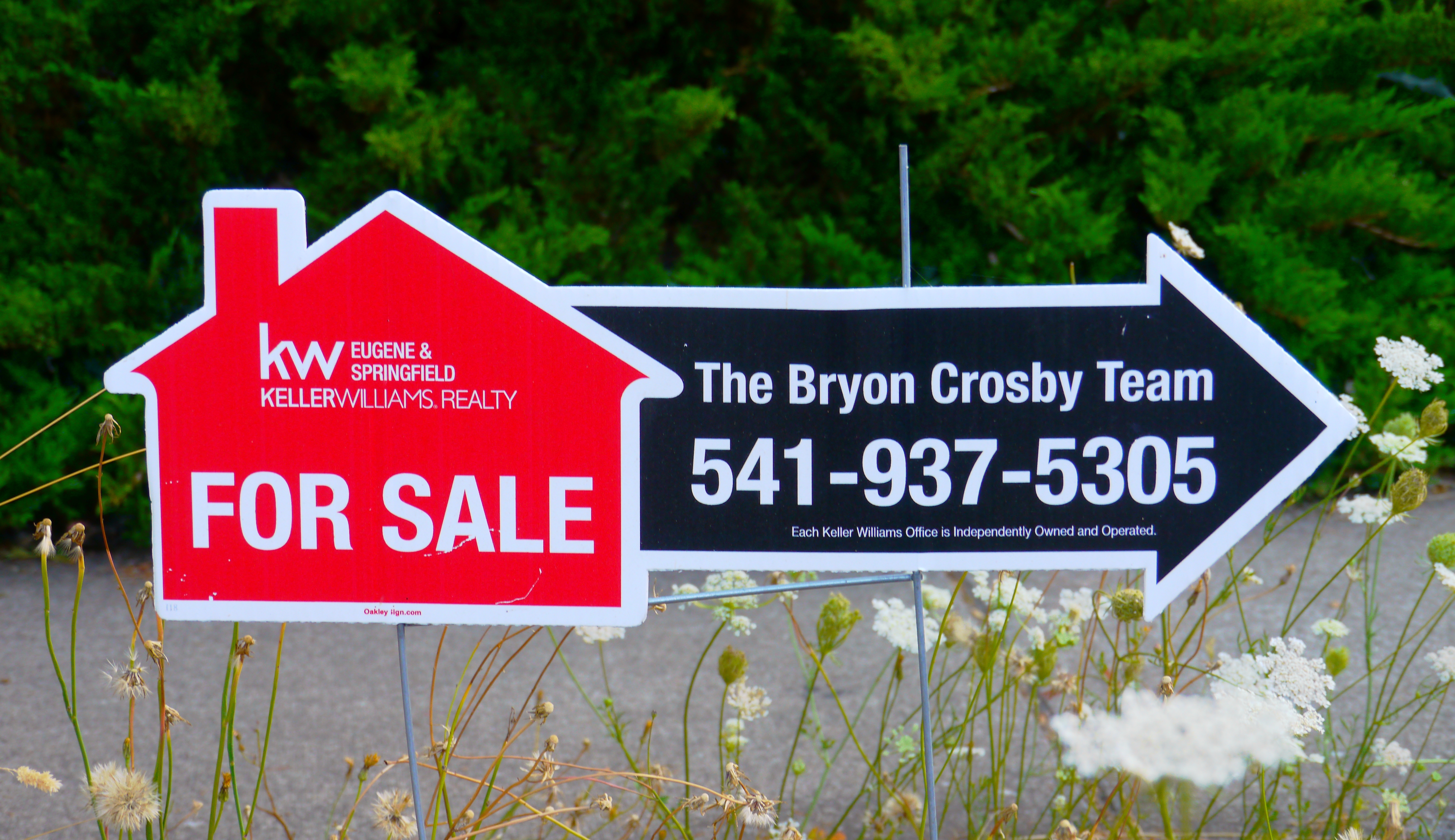 A house with a for-sale sign in front of it