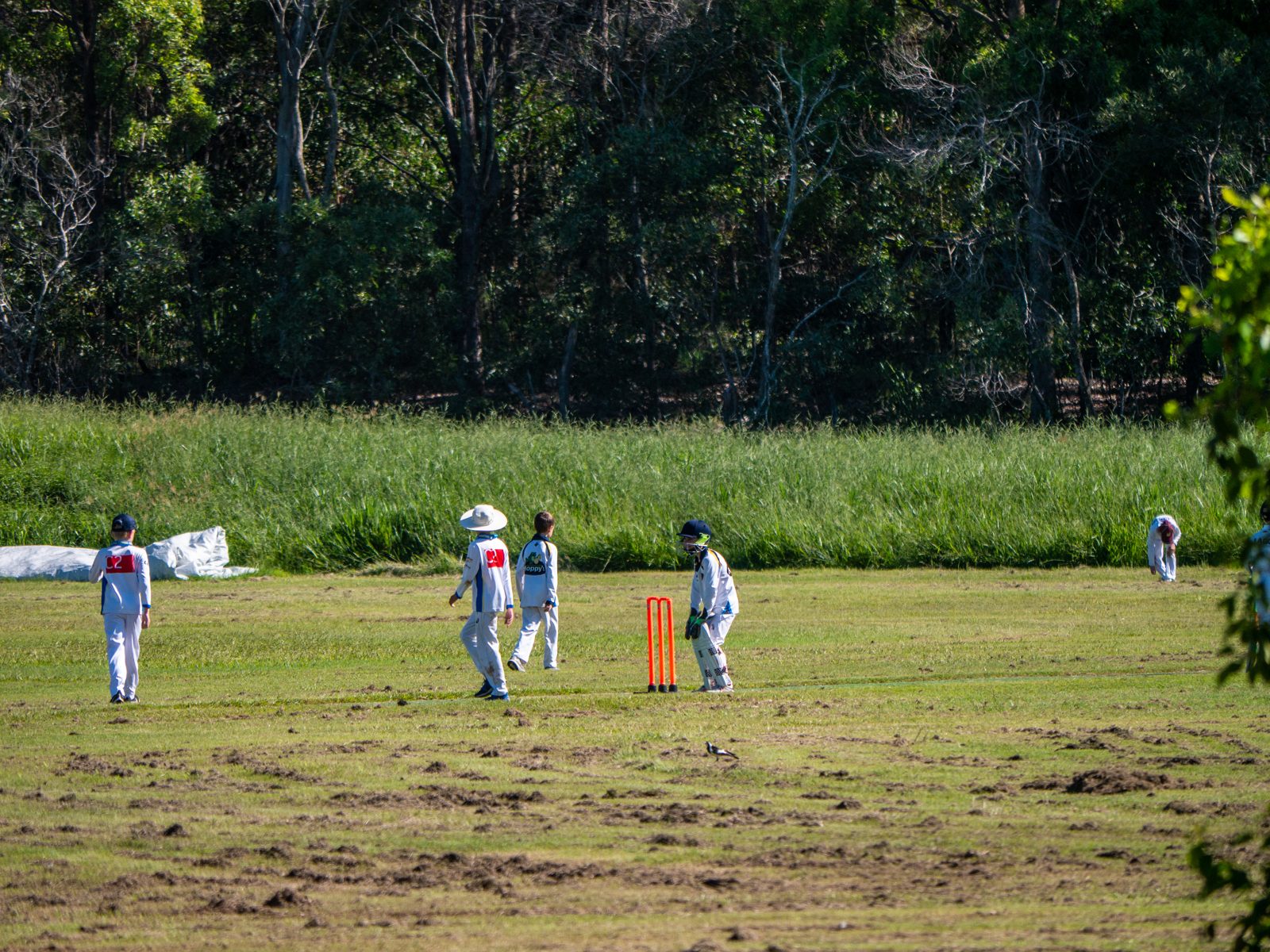 A cricket match in progress at a local ground