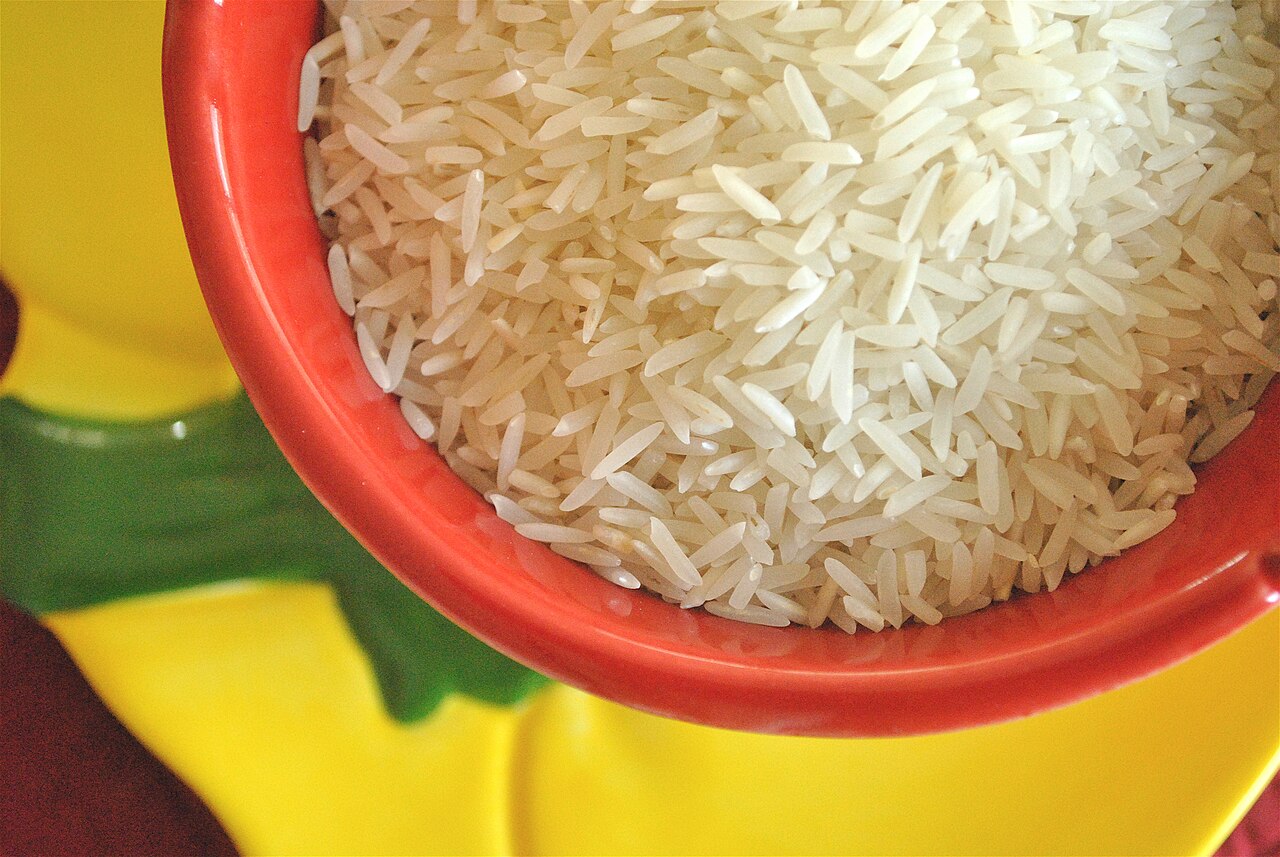 Raw basmati rice grains showing their long slender shape