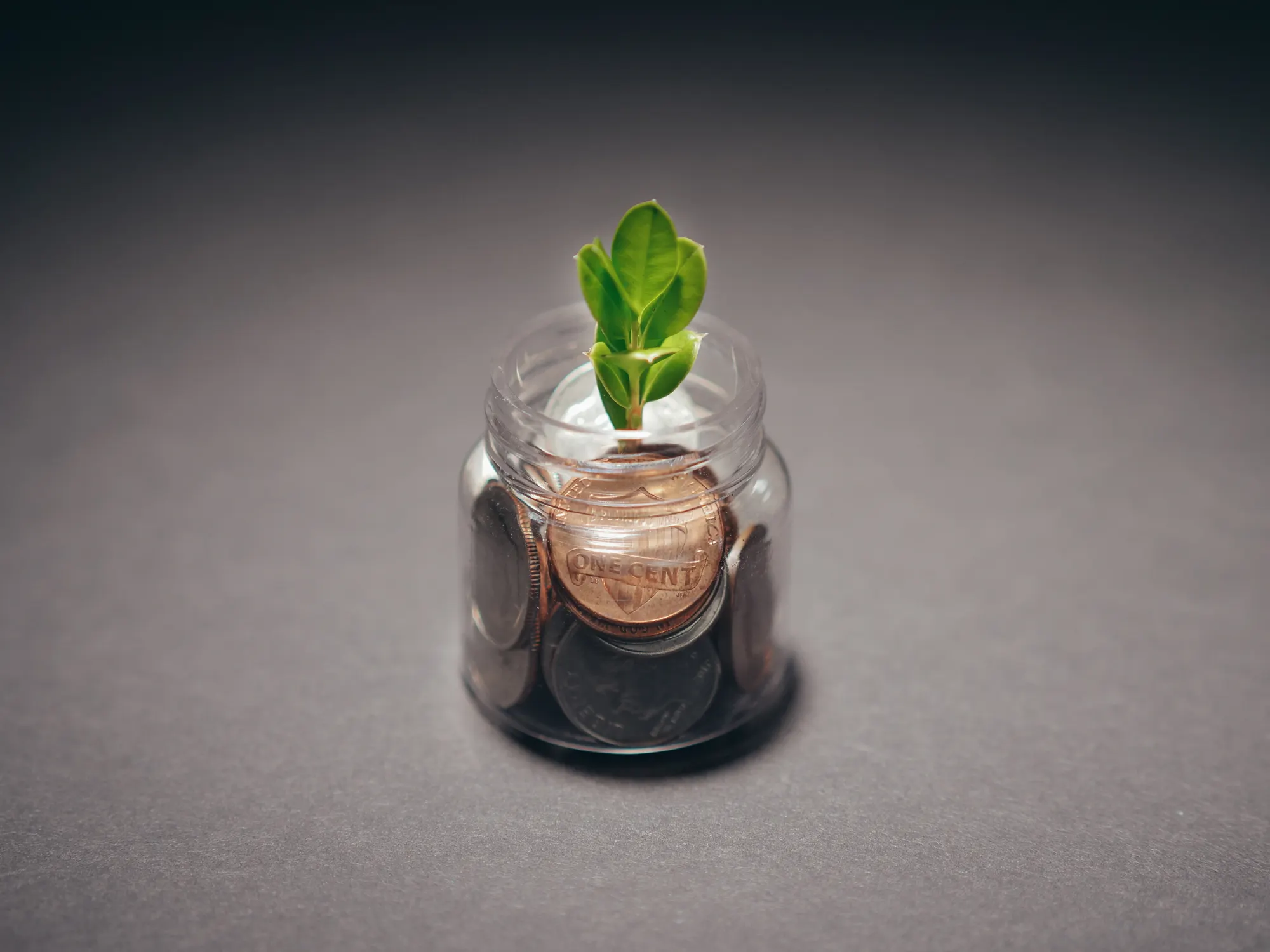 A glass jar of coins with a green seedling growing from it