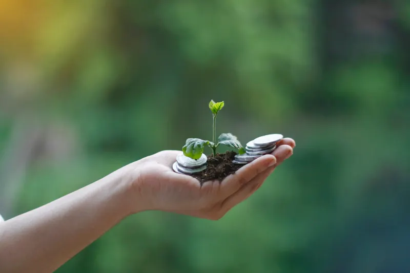 A hand holding a seedling growing from soil with stacked coins