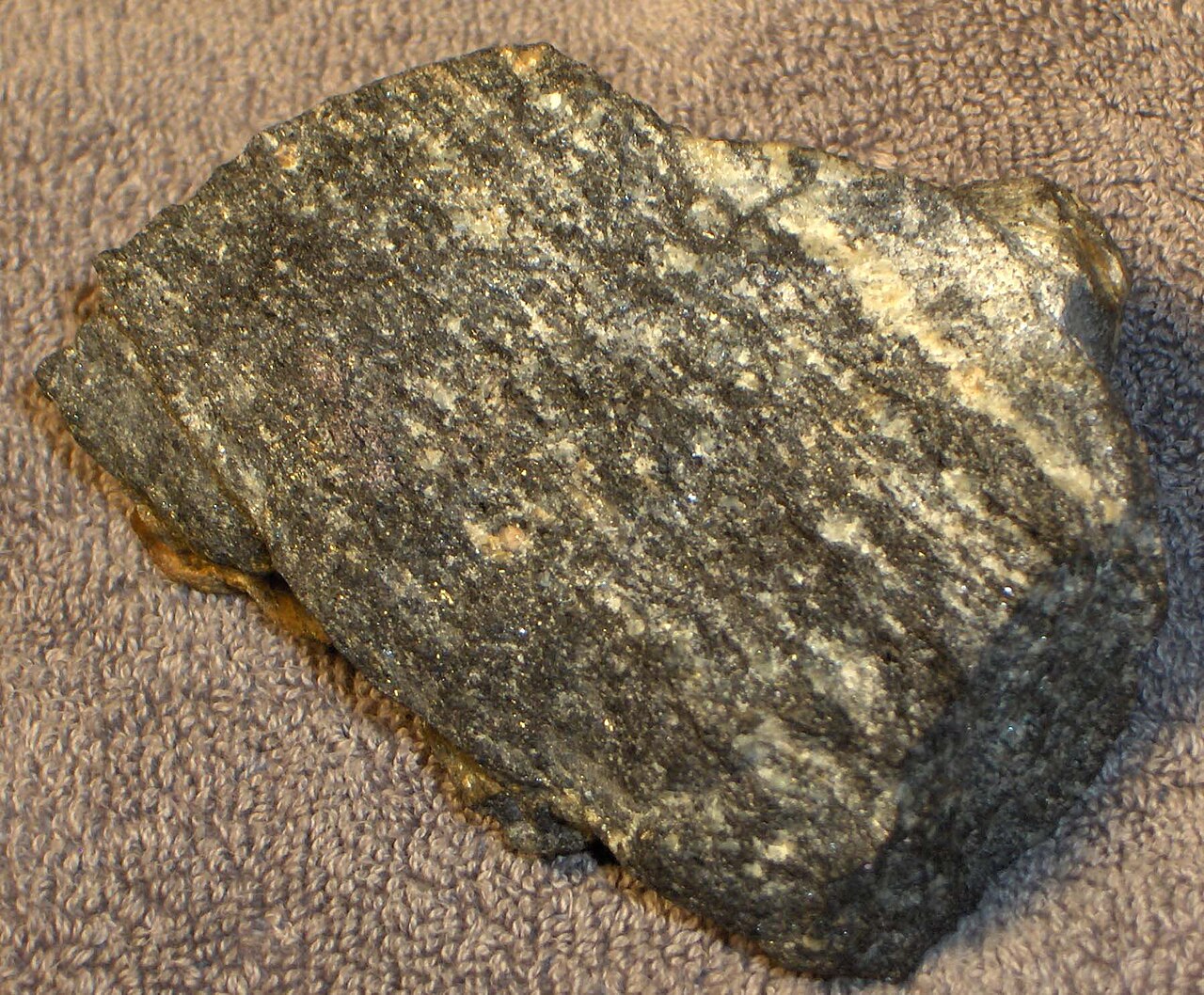 A sample of ancient Acasta Gneiss rock