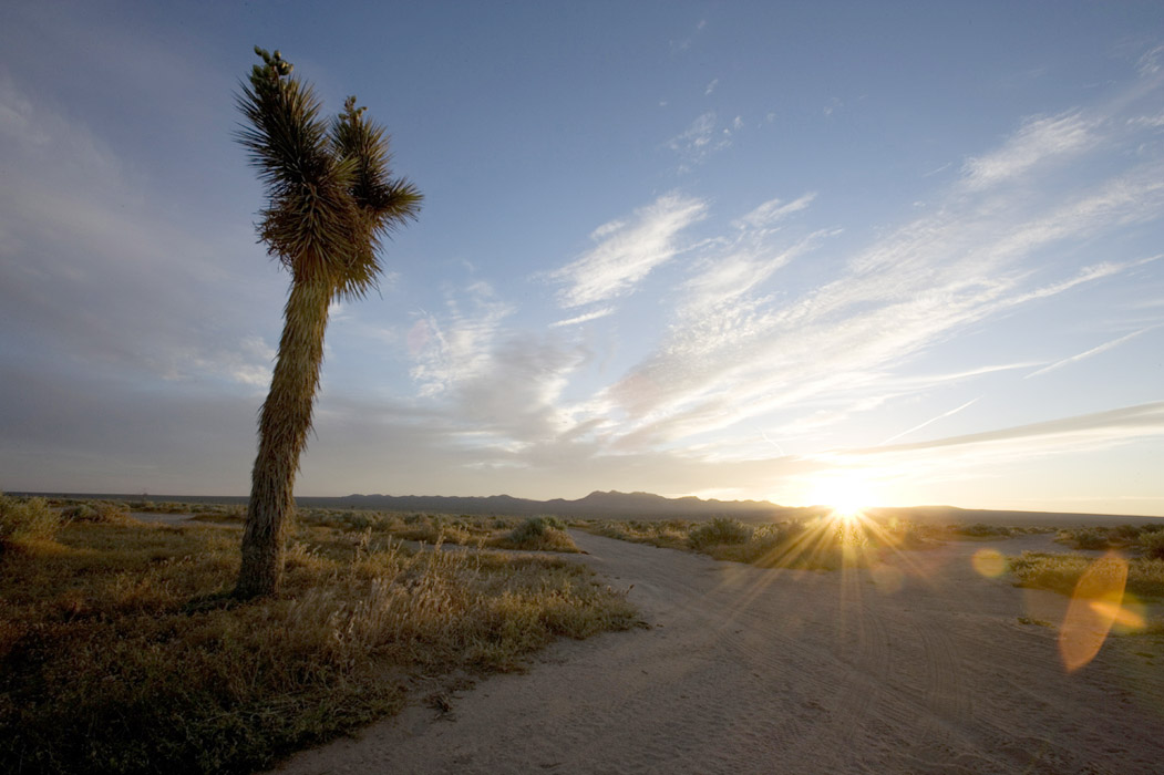 Sunrise over a dry lake bed at El Mirage, with heat distortion visible in the distance