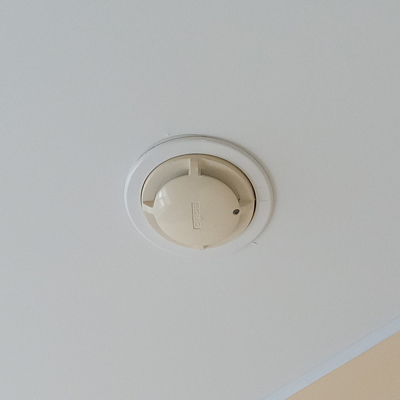 Smoke detector mounted on a ceiling