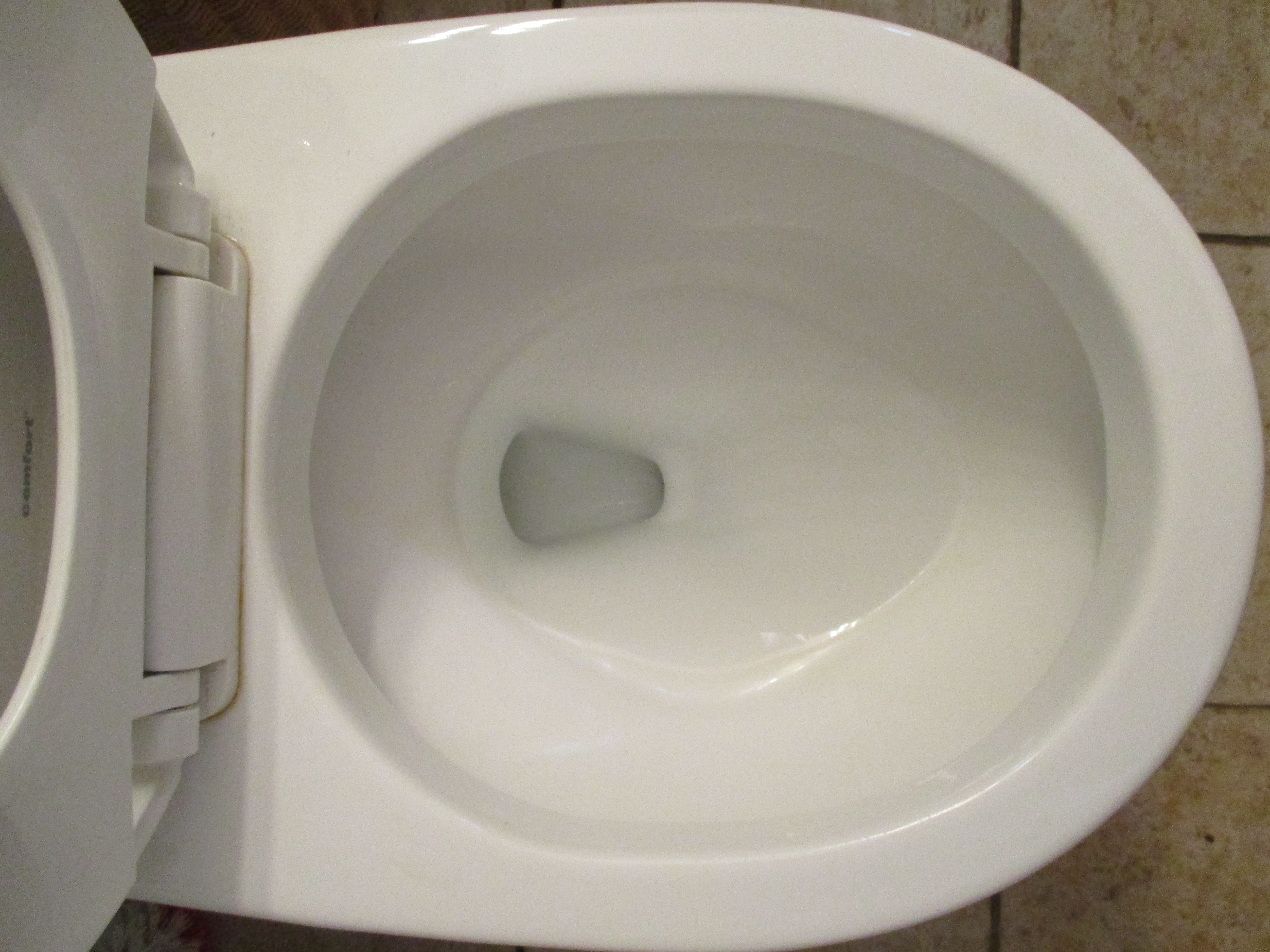 A clean toilet bowl with water in the bowl, viewed from above