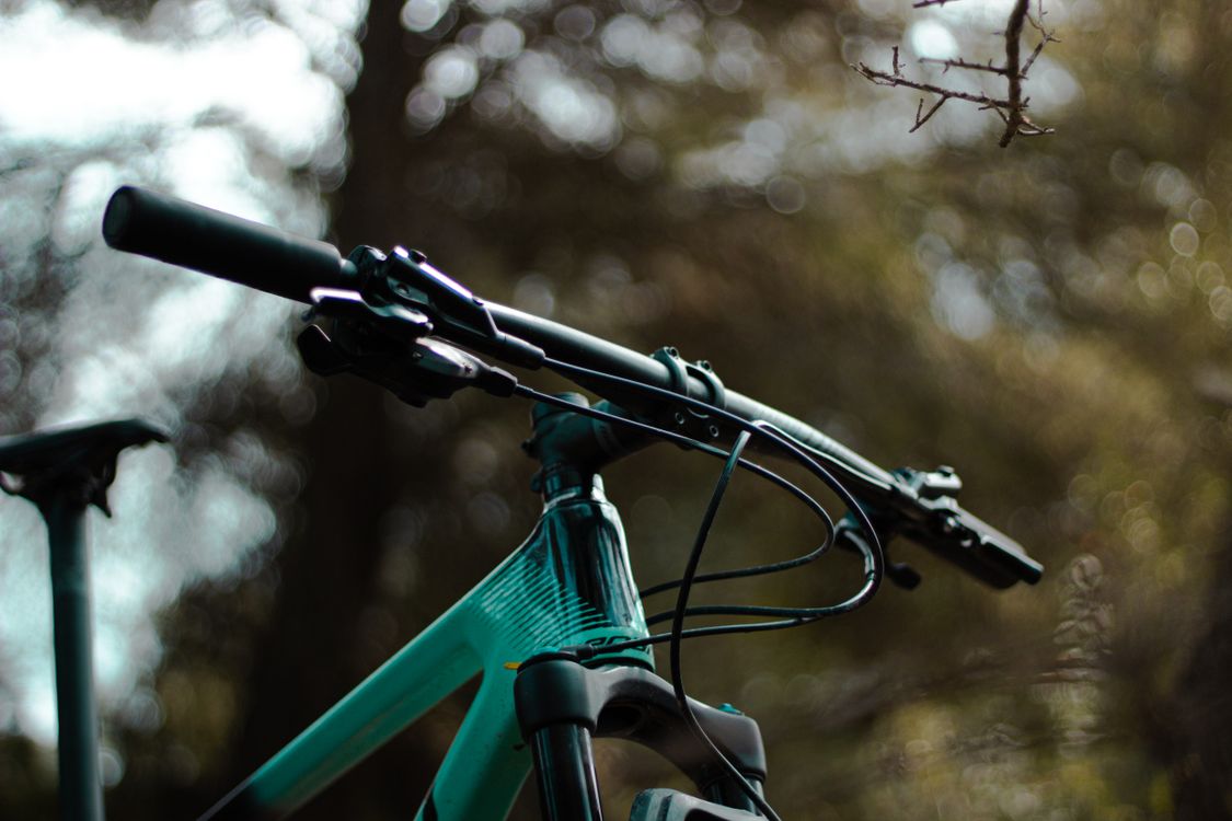 A close-up of a mountain bike, showing the drivetrain area a mechanic inspects