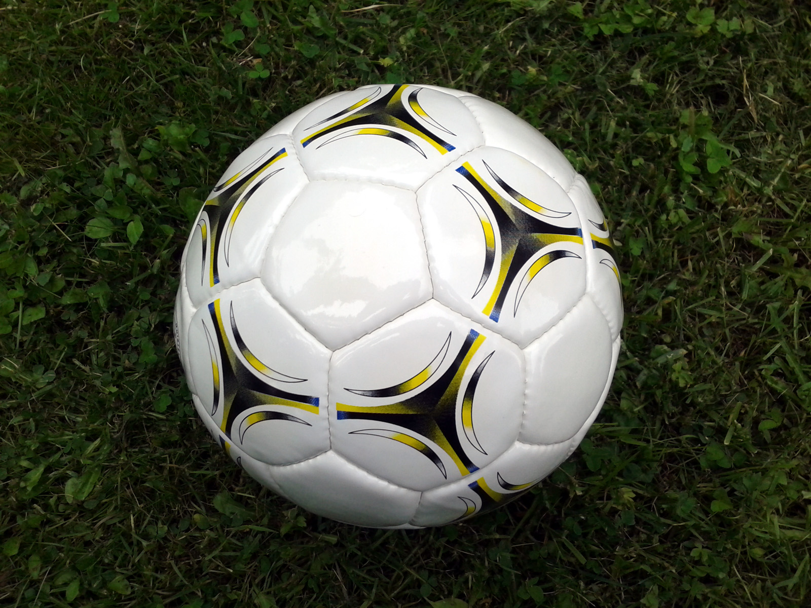 A soccer ball rests on the grass of a football pitch