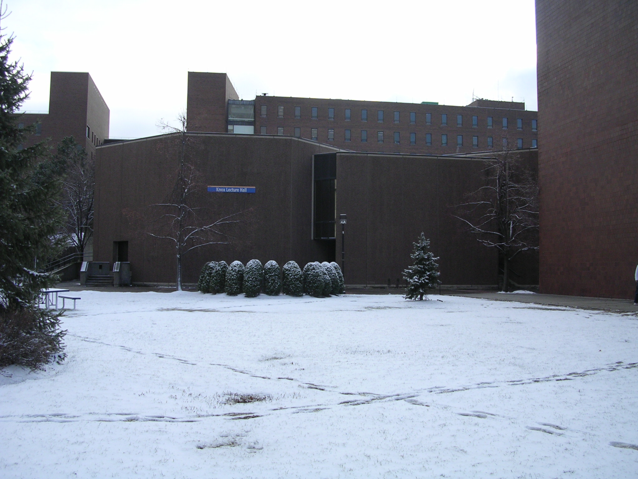 A university lecture hall with rows of seats facing a presenter at the front