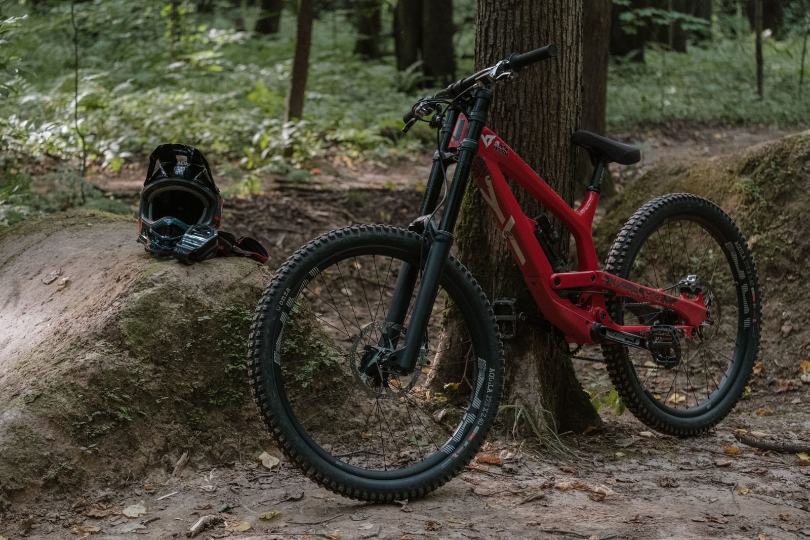 A red downhill mountain bike leaning against a tree on a trail