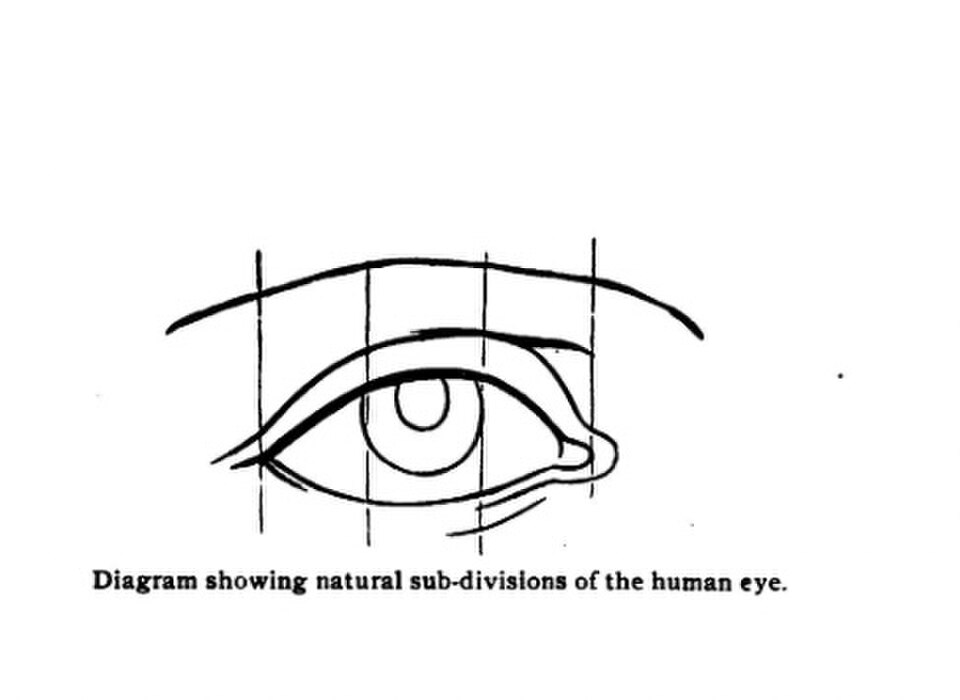 A 1919 diagram showing the natural divisions of the human eye