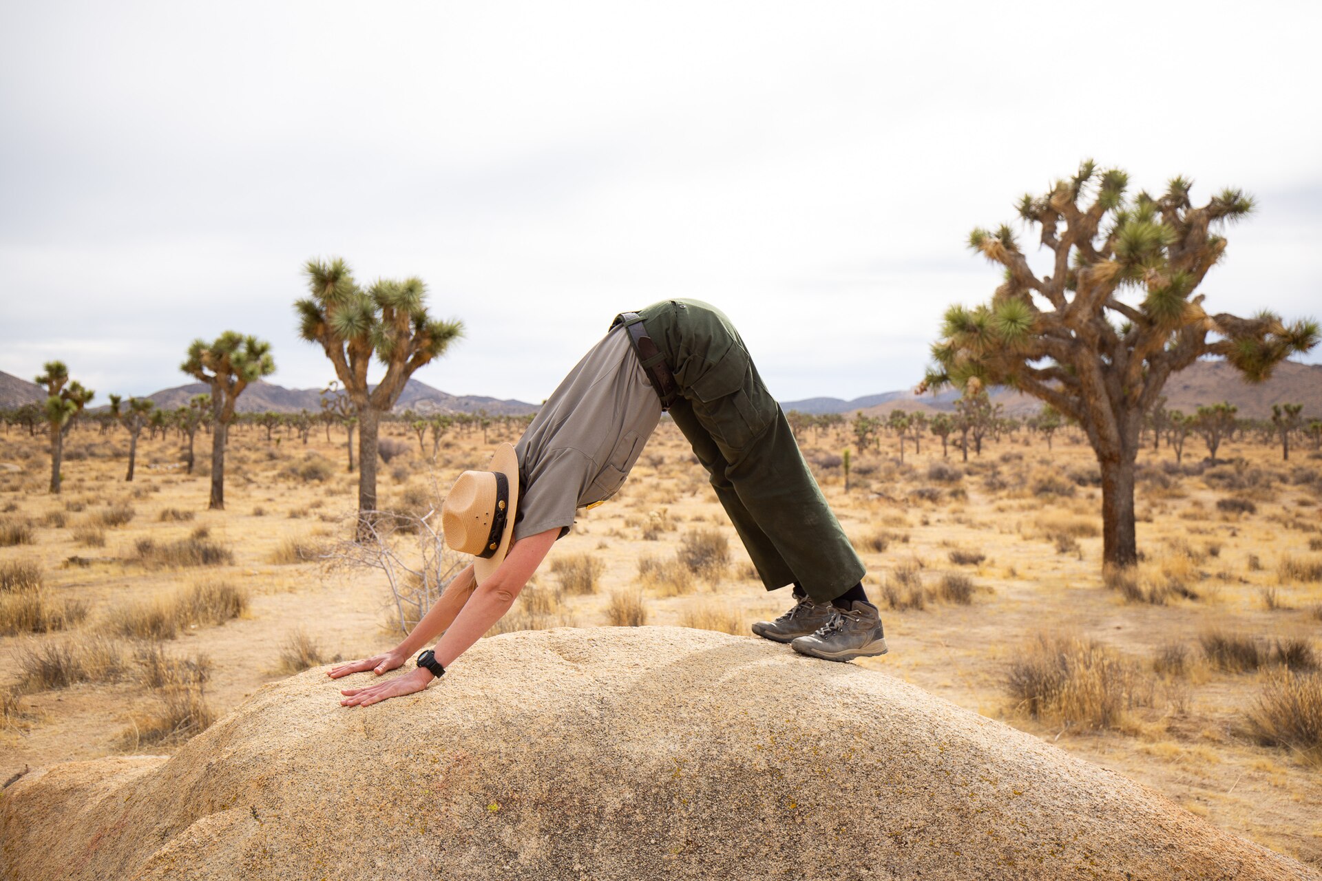 A park ranger holding a downward dog yoga pose