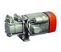 Monobloc sump pump units