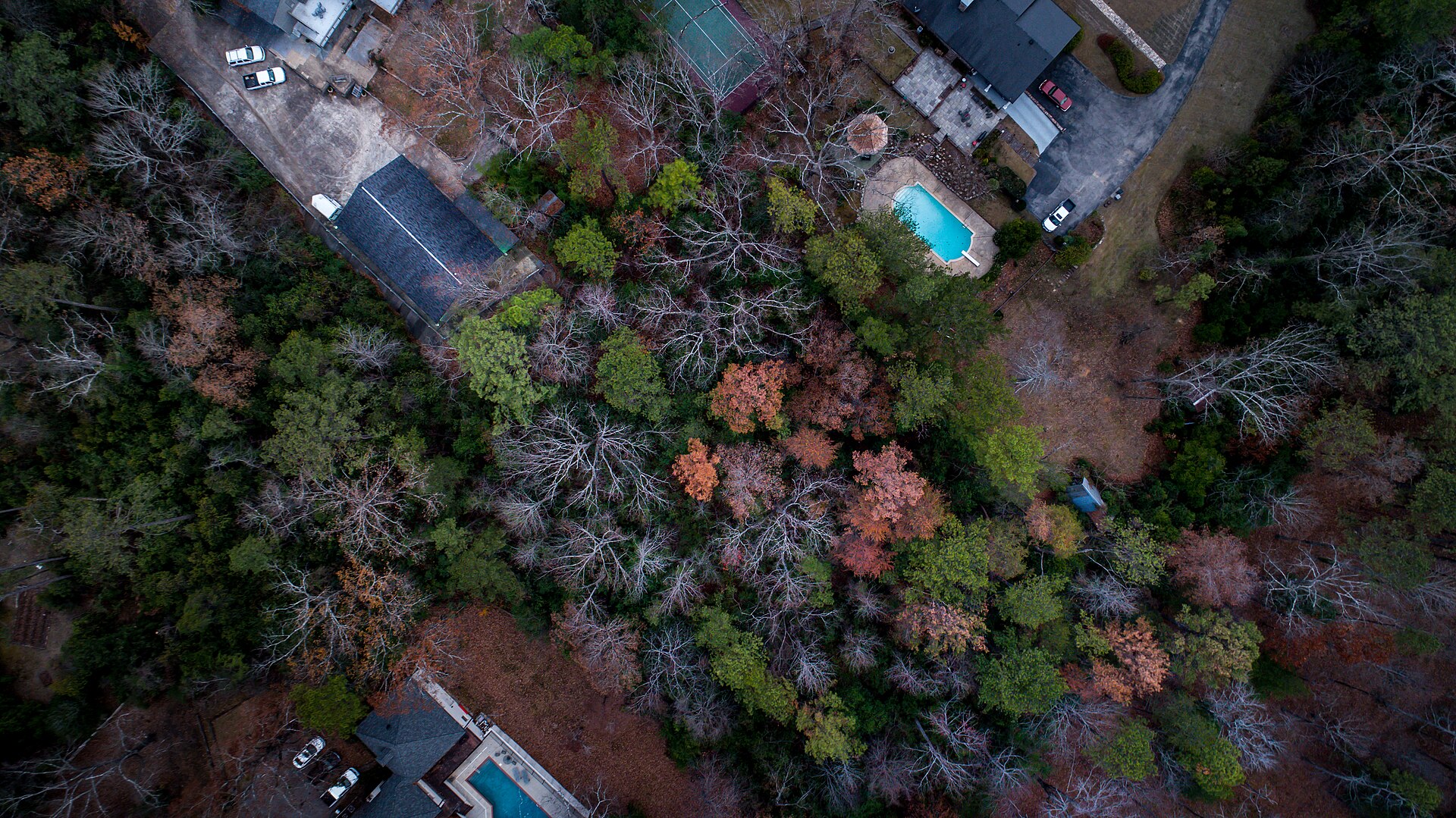 Houses in a US suburb under a clear sky