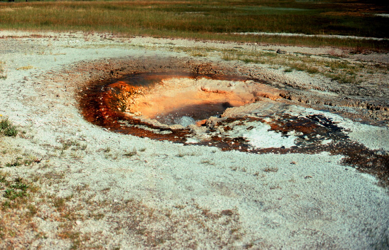 Sponge Geyser in Yellowstone National Park